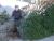 1313-DSCF0596